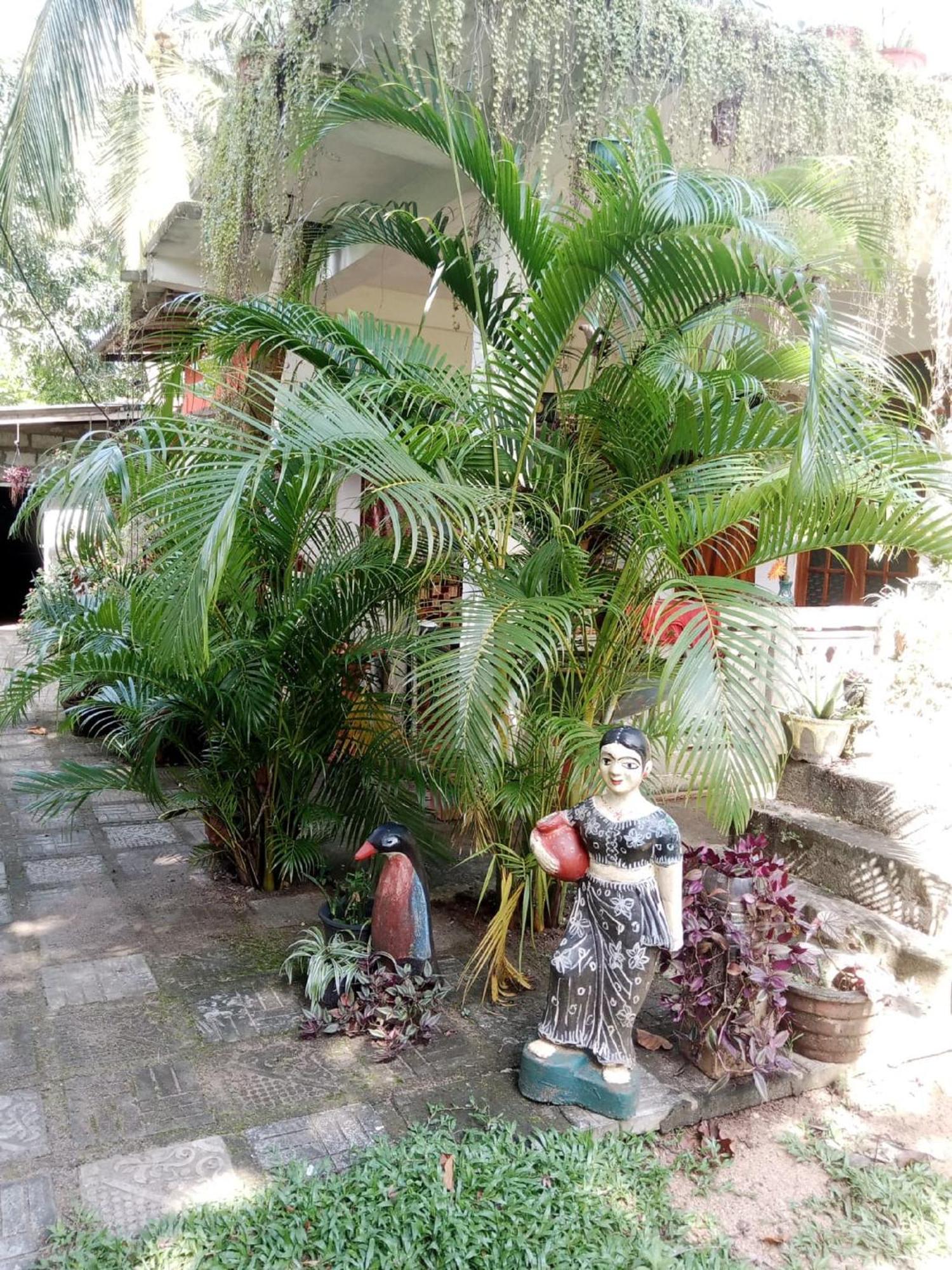 Nelum Home Stay สิกิริยา ภายนอก รูปภาพ